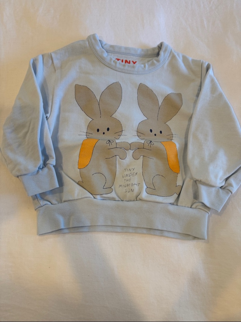 Tiny Bunny Graphic Sweatshirt for Kids - Pale Blue